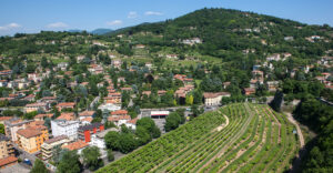 Le vigne sulle orme dei Longobardi